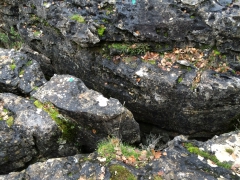 garagaïs,géologie,bras,plateau calcaire et dolomitie,ra